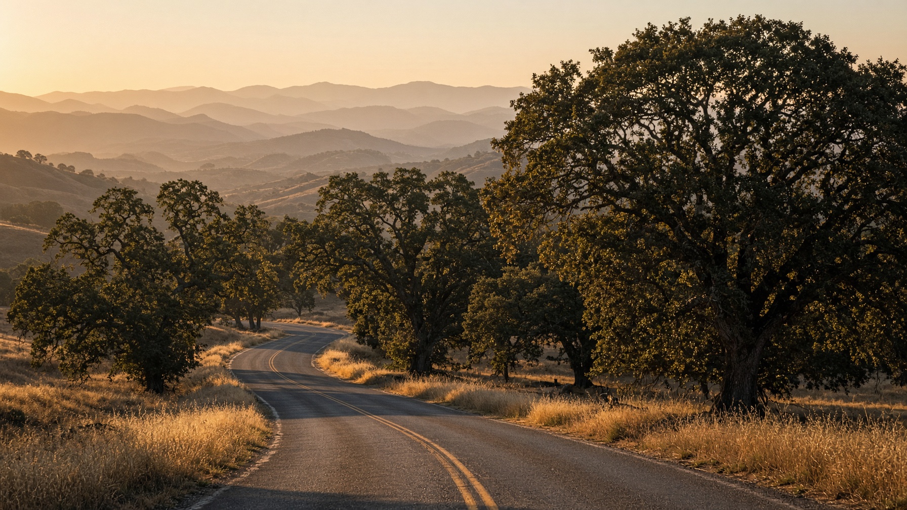 Oak savannah in San Luis Obispo County at golden hour